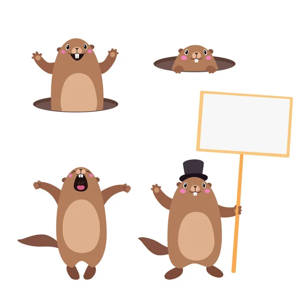 Conjunto de marmotas saliendo de su agujero y sosteniendo un cartel en blanco. Plano — Archivo Imágenes Vectoriales