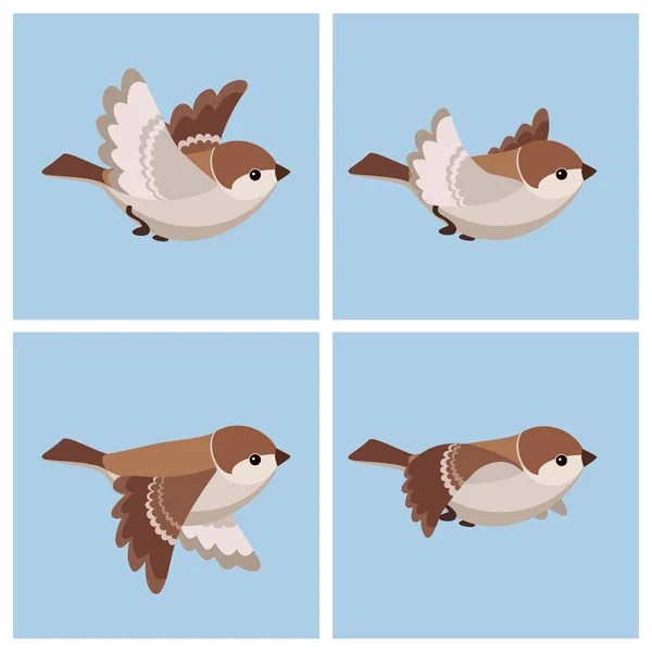 Hoja de sprite de animación House Sparrow (hembra) voladora de dibujos animados — Archivo Imágenes Vectoriales