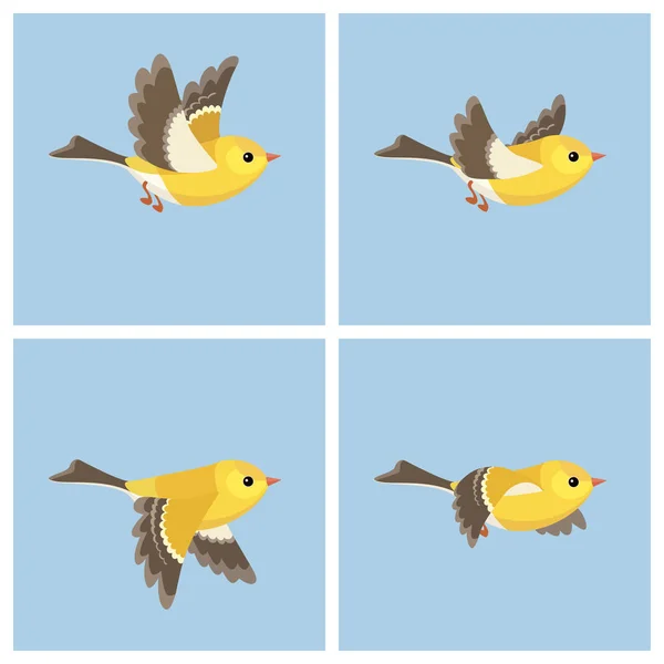 Flying American Goldfinch (female) animation sprite sheet — Stock Vector