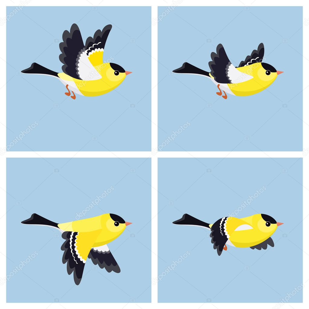 Flying American Goldfinch (male) animation sprite sheet 