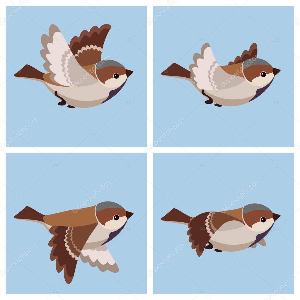 Cartoon flying House Sparrow (male) animation sprite sheet 