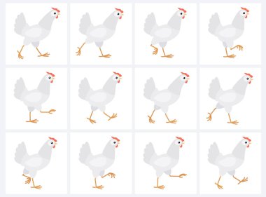 Walking white hen animation sprite sheet isolated on white background  clipart
