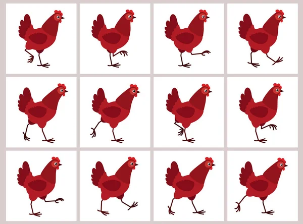 Beyaz arka plan üzerinde izole yürüyen kırmızı tavuk animasyon sprite sayfası — Stok Vektör