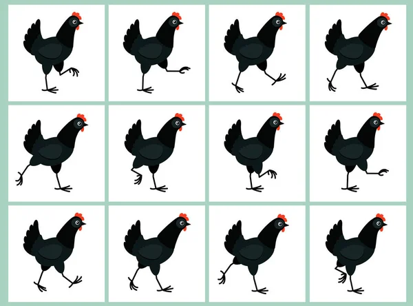 Beyaz arka plan üzerinde izole yürüyen siyah tavuk animasyon sprite sayfası 