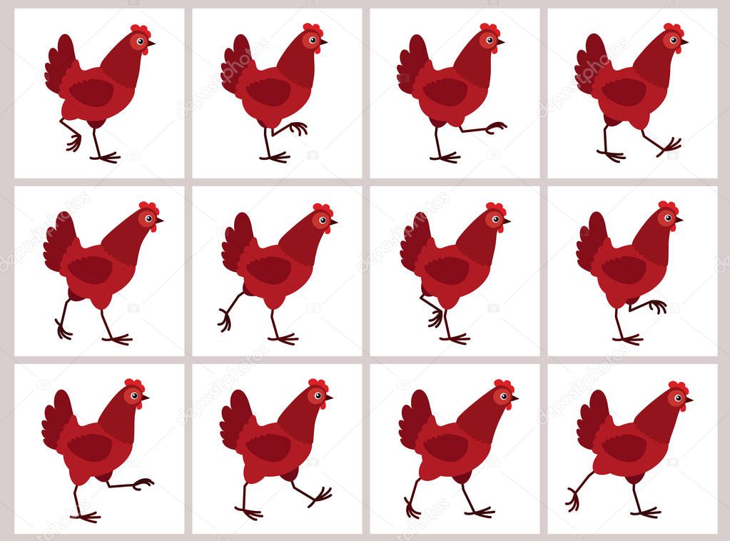 Walking red hen animation sprite sheet isolated on white background 