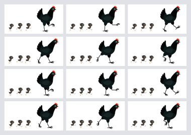 Walking black hen and chicks animation sprite sheet isolated on white background  clipart
