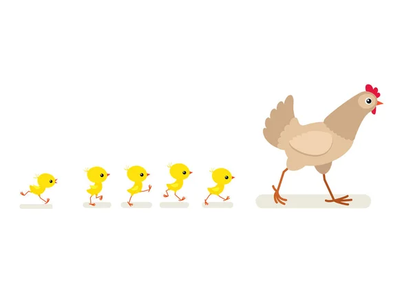 Ilustración de gallinas y pollitos caminando aislados sobre fondo blanco — Vector de stock