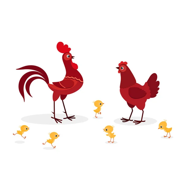 Ilustración de la familia de pollos rojos aislados sobre fondo blanco — Vector de stock