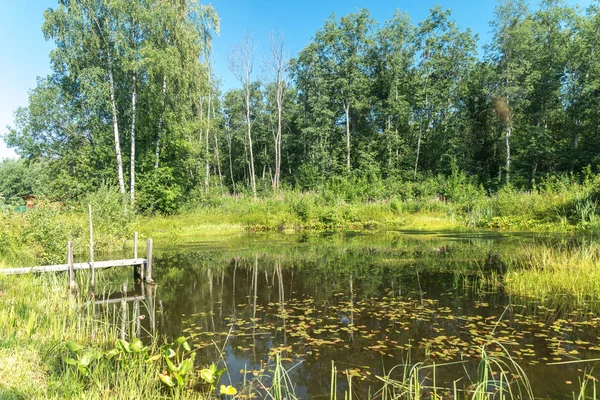 Wetland lake with a fishing bridge