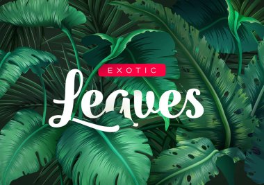 Parlak tropikal orman bitkileri ile arka plan. Tropikal egzotik desenle bırakır. Vektör çizim