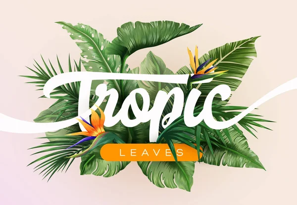 Fondo Tropical Brillante Con Plantas Selva Patrón Exótico Con Hojas — Vector de stock