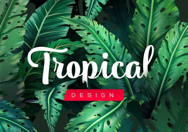 Fondo Tropical Brillante Con Plantas Selva Patrón Exótico Con Hojas — Vector de stock