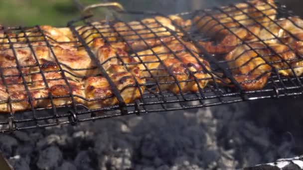 Маринованная курица и шашлык на стойке для гриля — стоковое видео