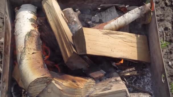 Encender fuego parrilla barbacoa de madera de abedul — Vídeos de Stock