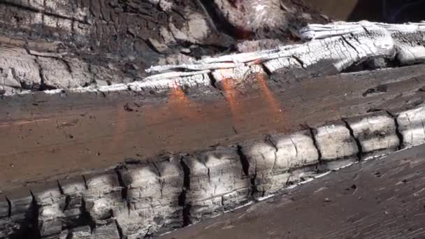 Verbranden van verkoolde hout in de middag in de zon — Stockvideo