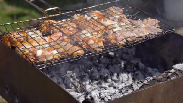 Cozinhar kebab em uma fogueira aberta em um dia de verão — Vídeo de Stock
