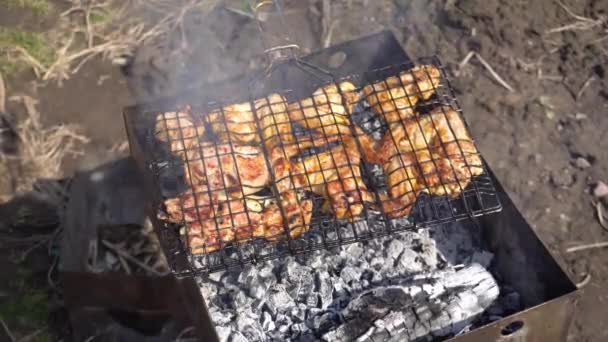 Cooking kebab on an open fire on a summer day — Stock Video