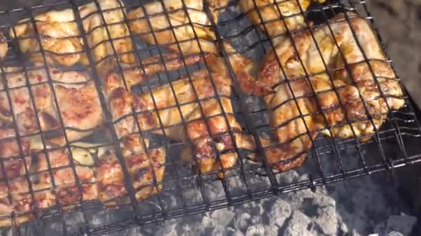 Μαγείρεμα κεμπάπ σε ένα ανοικτό φωτιά σε μια καλοκαιρινή μέρα — Αρχείο Βίντεο
