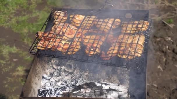 Matlagning kebab på öppen eld på en sommardag — Stockvideo