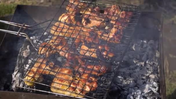 Matlagning kebab på öppen eld på en sommardag — Stockvideo
