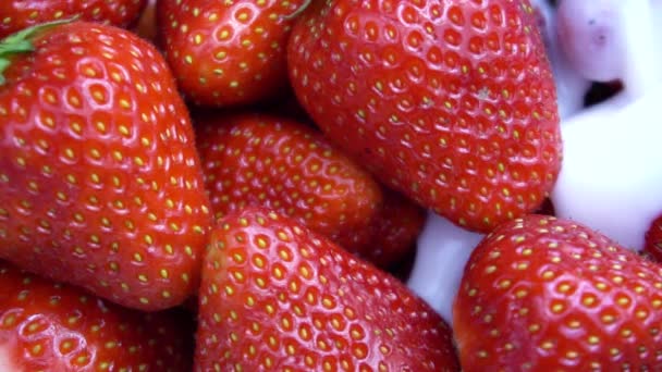 Reife rote Erdbeere gemischt mit Joghurt-Zeitlupe-Video — Stockvideo
