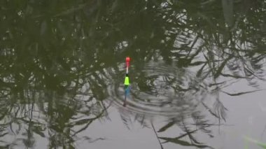 Parlak float balık bir ısırık ile nehirde yüzen