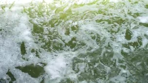 Зеленая вода в горной реке замедленного действия — стоковое видео