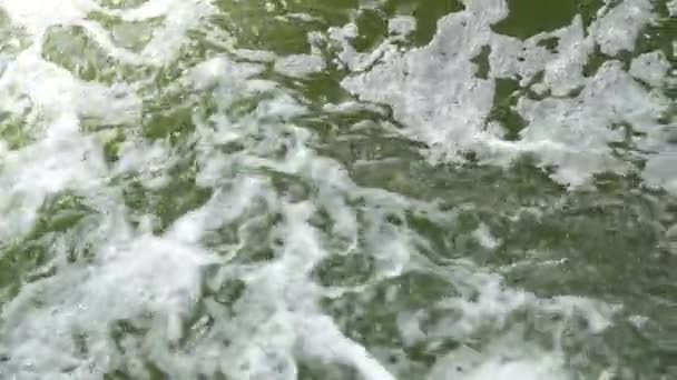 Krásná zelená voda v horské řece zpomalené video — Stock video
