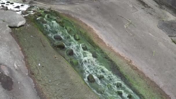 Gamla ström med grönt vatten på det gamla medeltida slottet — Stockvideo