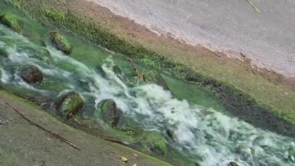 Starý stream zelenou vodou na původní středověký hrad — Stock video