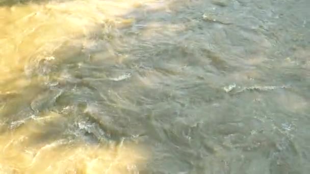 Des ruisseaux de rivière grise sale après une tempête — Video