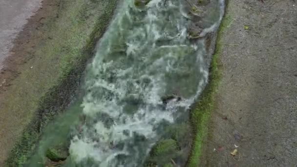 Sungai tua dengan air hijau di kastil abad pertengahan tua — Stok Video