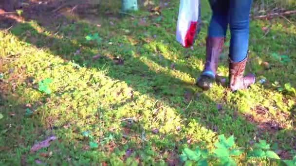 Paddestoel prikkers in de herfst bos op zoek naar paddenstoelen in de ochtendzon — Stockvideo