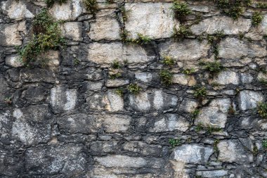 çim kaplı moloz taş duvar duvar parçası yapılan