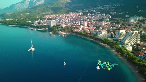 Praia Com Pinheiros Verdes Costa Adriático Makarska Croácia Europa — Vídeo de Stock