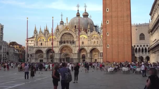 Europa. Venedig. Italien September 2018. Basilikan San Marco i Venedig på St. markerar torget. Turister promenera genom torget på kvällen — Stockvideo