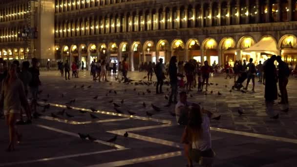 Venedig. Italien September 2018. En skara av turister i St. Marks square på natten — Stockvideo