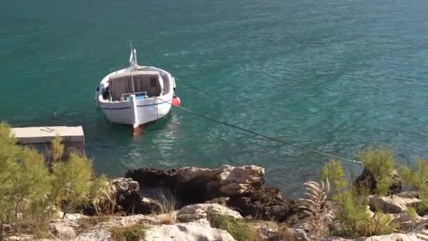 Barco de pesca branco atracado no porto movendo-se sobre as ondas — Vídeo de Stock