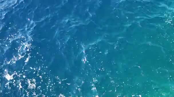 海の青い表面に波紋 — ストック動画