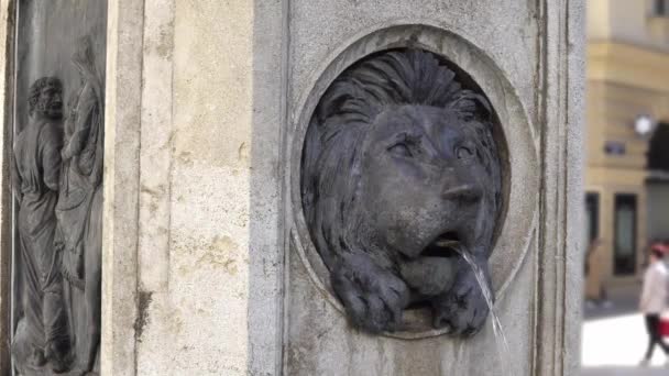 Bronze lion head fountain in old Europe — Stock Video