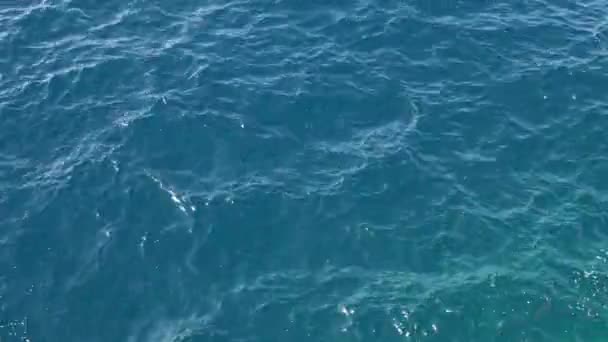 Ondulations sur la surface bleue de la mer — Video