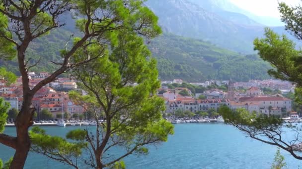 Makar Riviera, Croacia. Vista de los hermosos pinos verdes en el fondo del casco antiguo — Vídeos de Stock