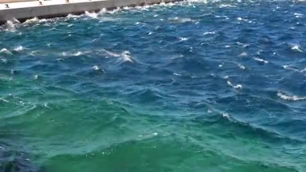 Wind storm on the Adriatic coast of Makarska. Croatia — Stock Video