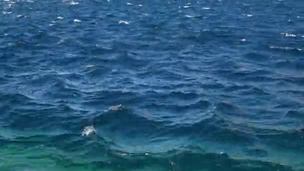 Tempestade de vento na costa Adriática de Makarska. Croácia — Vídeo de Stock