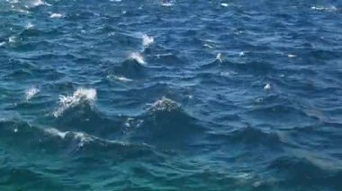 Makarska Adriyatik sahil Rüzgar fırtınası. Hırvatistan