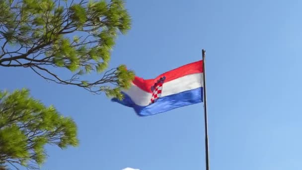 Bandera nacional de Croacia en el fondo del cielo azul de las montañas y el pino verde — Vídeo de stock