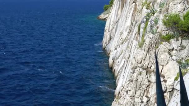 Costa de Croacia una vista del mar y pinos verdes — Vídeos de Stock