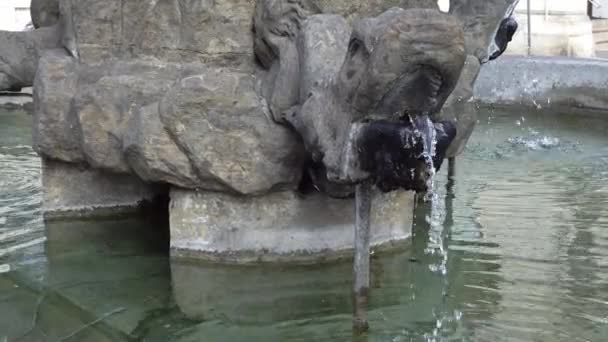 Water jet fountain on a summer day — Stock Video