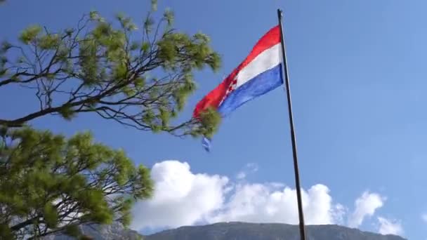 Horvátország zászlaja a háttér a kék ég, a hegyekre és a zöld fenyő — Stock videók