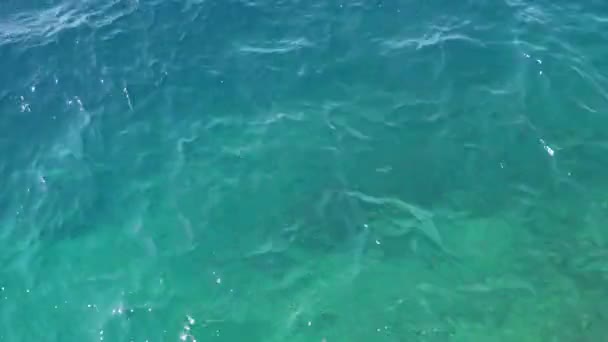 Рябь на синей поверхности моря — стоковое видео